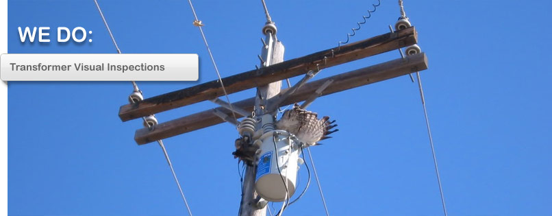 pole-tec-wood-utility-pole-inspection-wooden-pole-inspections-poles